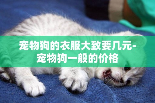 寵物狗的衣服大致要幾元-寵物狗一般的價格