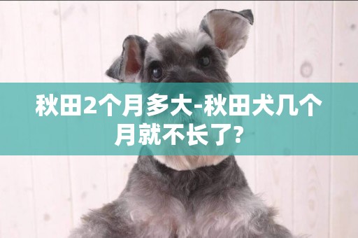 秋田2個月多大-秋田犬幾個月就不長了?