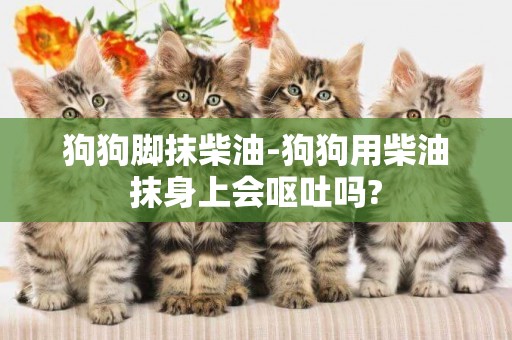 狗狗腳抹柴油-狗狗用柴油抹身上會嘔吐嗎?