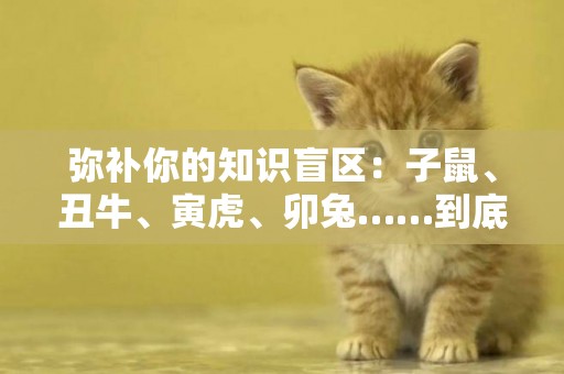 彌補你的知識盲區：子鼠、丑牛、寅虎、卯兔……到底是嘛意思？ 