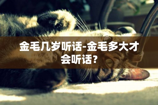 金毛幾歲聽話-金毛多大才會聽話？