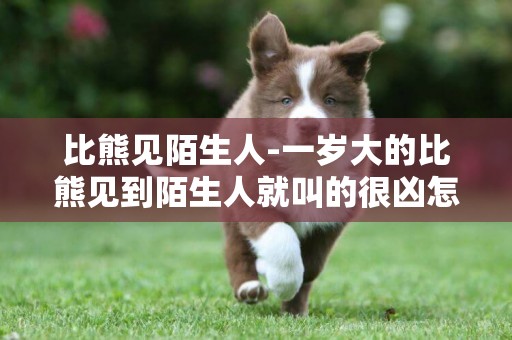 比熊見陌生人-一歲大的比熊見到陌生人就叫的很兇怎么辦