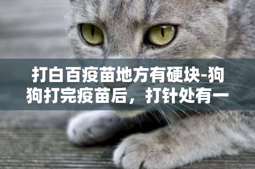 打白百疫苗地方有硬塊-狗狗打完疫苗后，打針處有一個硬塊是怎么回事？
