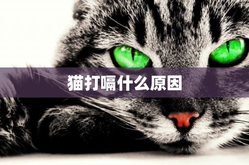 貓打嗝什么原因