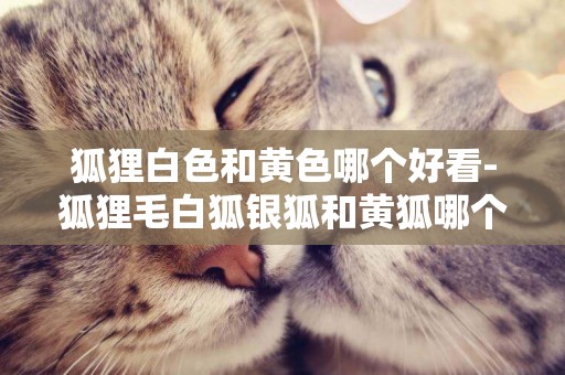 狐貍白色和黃色哪個好看-狐貍毛白狐銀狐和黃狐哪個好？