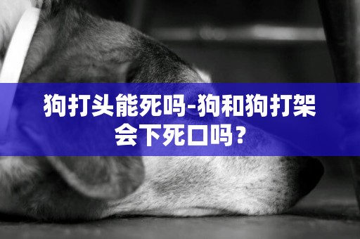 狗打頭能死嗎-狗和狗打架會下死口嗎？