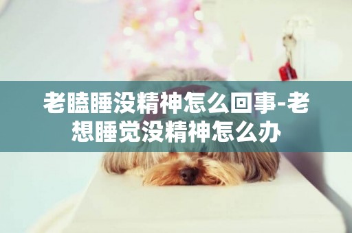 老瞌睡沒精神怎么回事-老想睡覺沒精神怎么辦