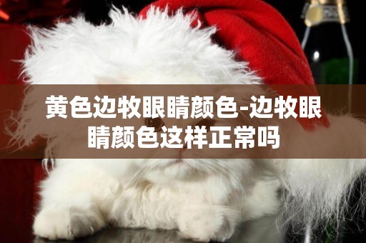 黃色邊牧眼睛顏色-邊牧眼睛顏色這樣正常嗎