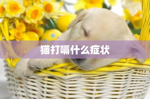 貓打嗝什么癥狀