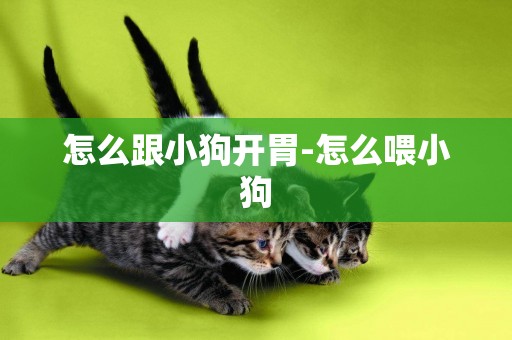 怎么跟小狗開胃-怎么喂小狗
