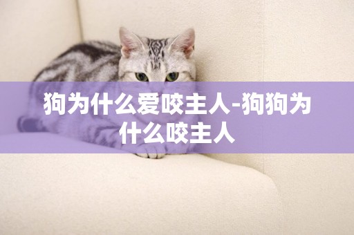 狗為什么愛咬主人-狗狗為什么咬主人