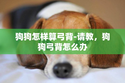 狗狗怎樣算弓背-請教，狗狗弓背怎么辦