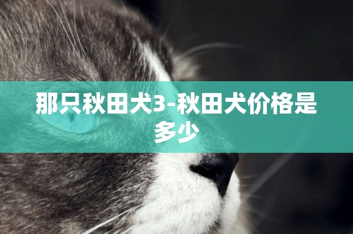 那只秋田犬3-秋田犬價格是多少