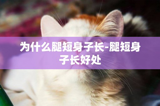 為什么腿短身子長-腿短身子長好處