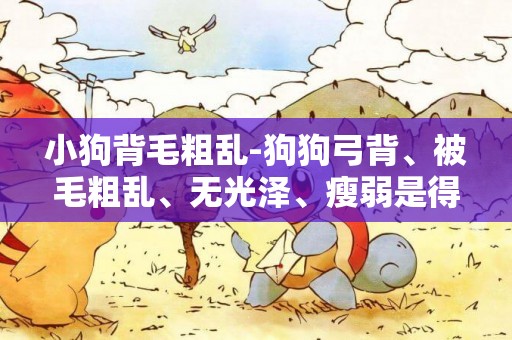 小狗背毛粗亂-狗狗弓背、被毛粗亂、無光澤、瘦弱是得了什么病？