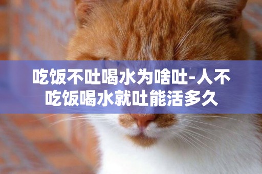 吃飯不吐喝水為啥吐-人不吃飯喝水就吐能活多久