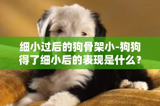 細小過后的狗骨架小-狗狗得了細小后的表現是什么？