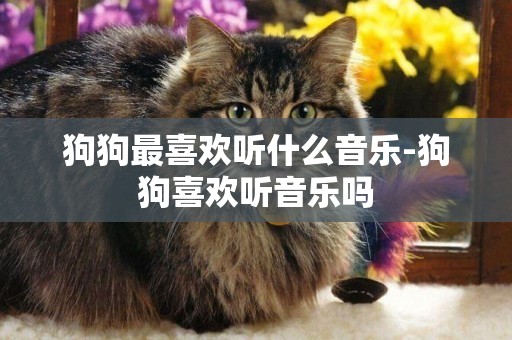 狗狗最喜歡聽什么音樂-狗狗喜歡聽音樂嗎
