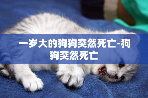 一歲大的狗狗突然死亡-狗狗突然死亡