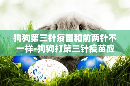 狗狗第三針疫苗和前兩針不一樣-狗狗打第三針疫苗應該間隔第二針多少天