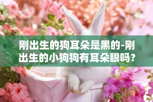 剛出生的狗耳朵是黑的-剛出生的小狗狗有耳朵眼嗎？