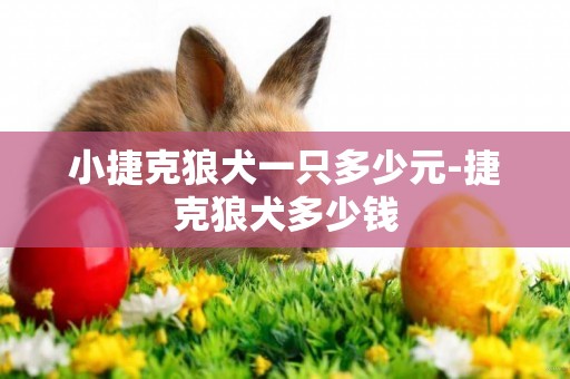 小捷克狼犬一只多少元-捷克狼犬多少錢