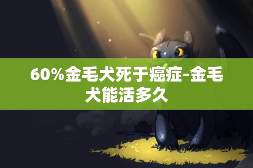 60%金毛犬死于癌癥-金毛犬能活多久