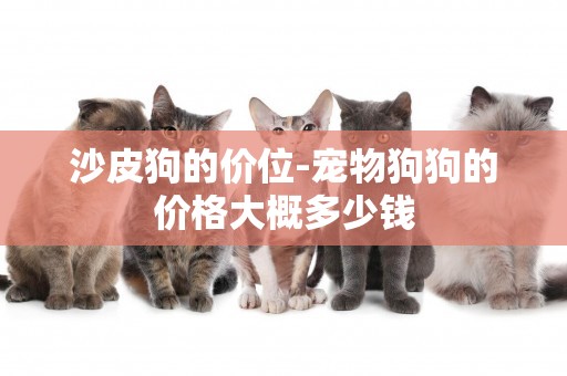 沙皮狗的價位-寵物狗狗的價格大概多少錢