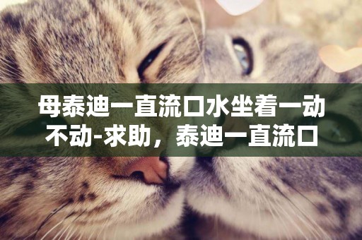 母泰迪一直流口水坐著一動不動-求助，泰迪一直流口水