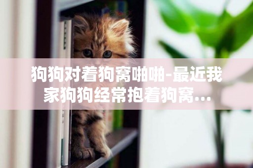 狗狗對著狗窩啪啪-最近我家狗狗經常抱著狗窩…