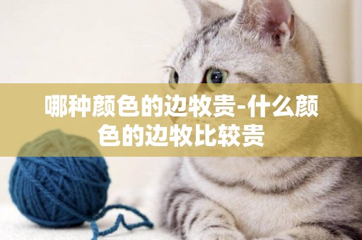 哪種顏色的邊牧貴-什么顏色的邊牧比較貴