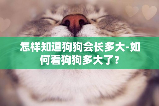 怎樣知道狗狗會長多大-如何看狗狗多大了？