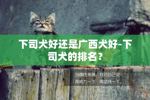 下司犬好還是廣西犬好-下司犬的排名？