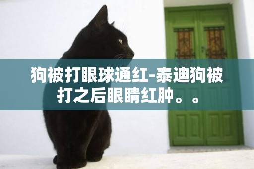 狗被打眼球通紅-泰迪狗被打之后眼睛紅腫。。