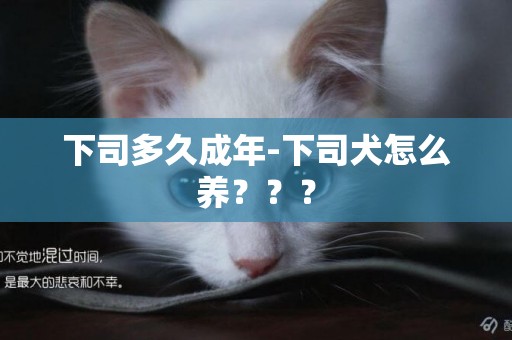 下司多久成年-下司犬怎么養？？？