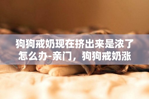 狗狗戒奶現在擠出來是濃了怎么辦-親門，狗狗戒奶漲奶怎么辦