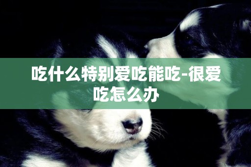 吃什么特別愛吃能吃-很愛吃怎么辦