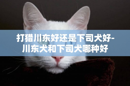 打獵川東好還是下司犬好-川東犬和下司犬哪種好