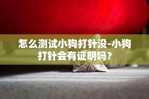 怎么測試小狗打針沒-小狗打針會有證明嗎？