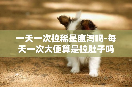 一天一次拉稀是腹瀉嗎-每天一次大便算是拉肚子嗎