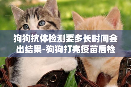 狗狗抗體檢測要多長時間會出結果-狗狗打完疫苗后檢測下抗體要多少