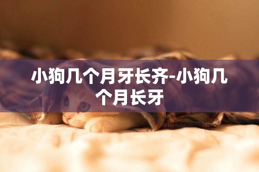 小狗幾個月牙長齊-小狗幾個月長牙