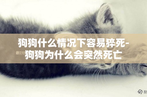 狗狗什么情況下容易猝死-狗狗為什么會突然死亡