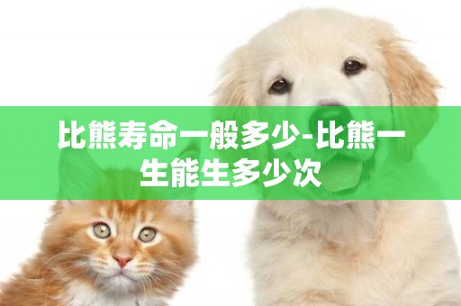 比熊壽命一般多少-比熊一生能生多少次
