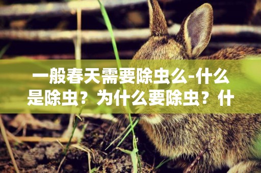 一般春天需要除蟲么-什么是除蟲？為什么要除蟲？什么時候需要除蟲？（養狗）