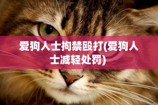 愛狗人士拘禁毆打(愛狗人士減輕處罰) 