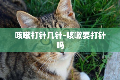 咳嗽打針幾針-咳嗽要打針嗎