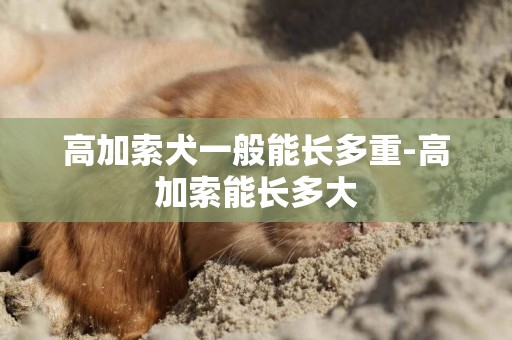 高加索犬一般能長多重-高加索能長多大