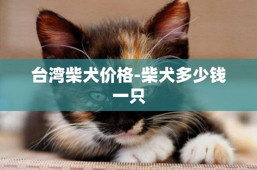 臺灣柴犬價格-柴犬多少錢一只