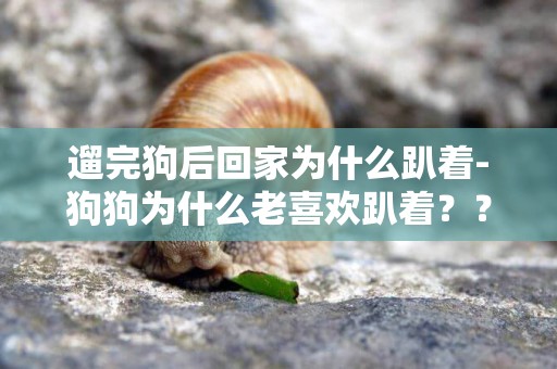 遛完狗后回家為什么趴著-狗狗為什么老喜歡趴著？？